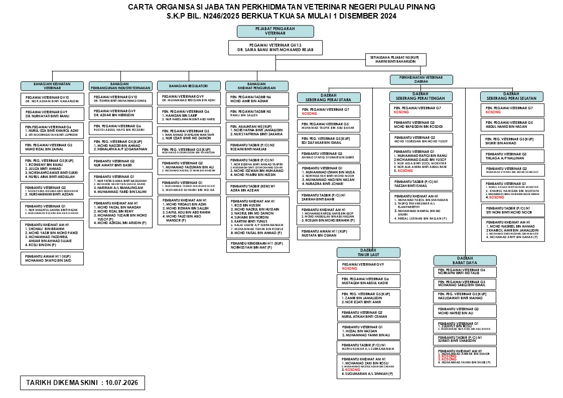 CARTA ORGANISASI JPV 2019 new